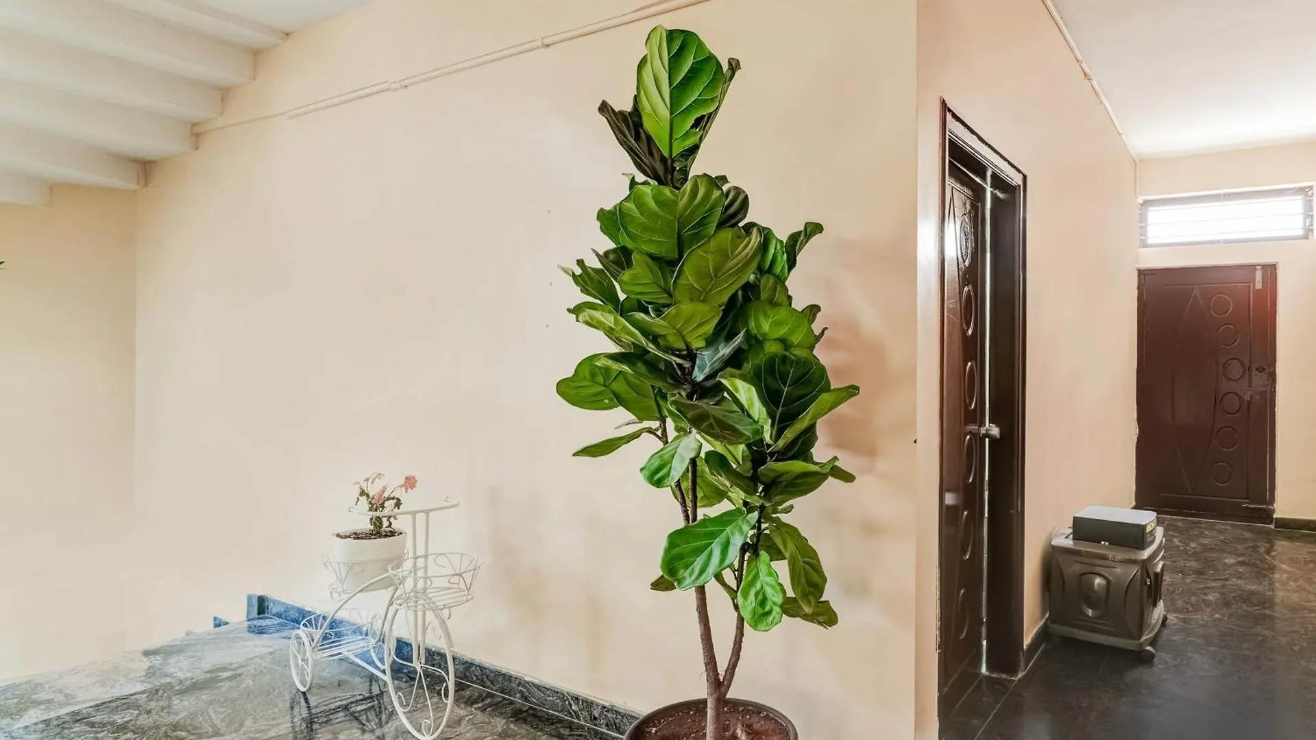 Hotel Collection O Datgalli Formerly Pool Villa Mysore